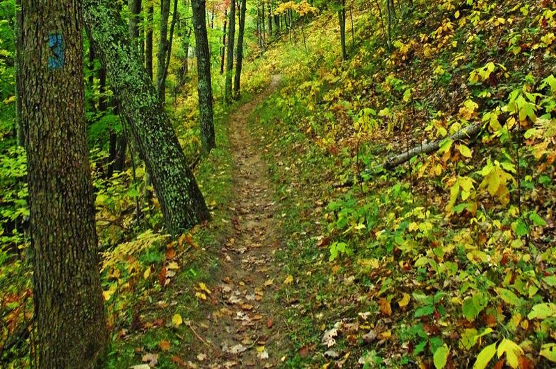North Country Trail (Manistee River)